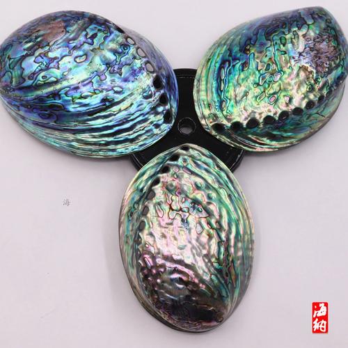 鮑魚殼里的山海經(jīng) 當(dāng)一件食余之物，成為收納記憶的詩意容器