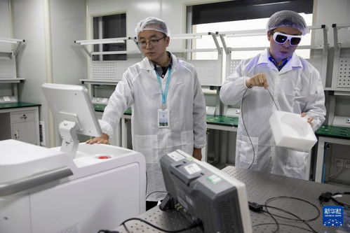 科創(chuàng)故事匯 | 朱銳 點(diǎn)亮OCT技術(shù)服務(wù)臨床的微光